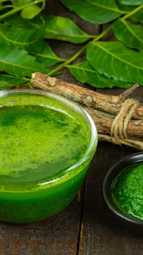 Homemade Neem Face Wash: बिना पैसे खर्च किए घर पर बनाएं नेचुरल फेस वॉश; पिंपल्स और ऑयली स्किन से मिलेगा छुटकारा