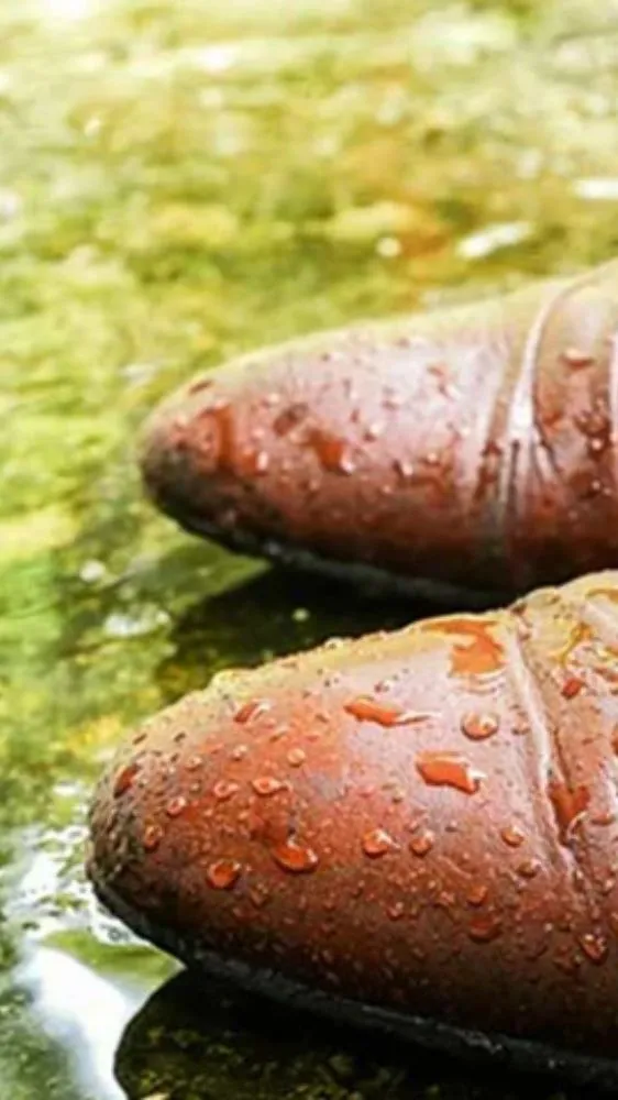 Monsoon Shoe Care: बारिश में भी सूखे रहेंगे जूते, बस घर की इस एक चीज़ का करें इस्तेमाल Monsoon Shoe Care: बारिश में भी सूखे रहेंगे जूते, बस घर की इस एक चीज़ का करें इस्तेमाल