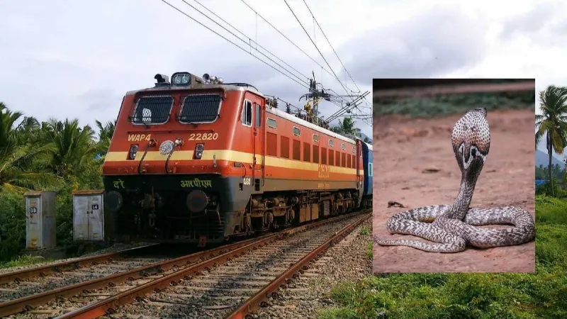 बिहार में टल गया बड़ा रेल हादसा! शॉर्ट सर्किट और धमाके से मचा हड़कंप, सांप ने कर दिया बड़ा कांड