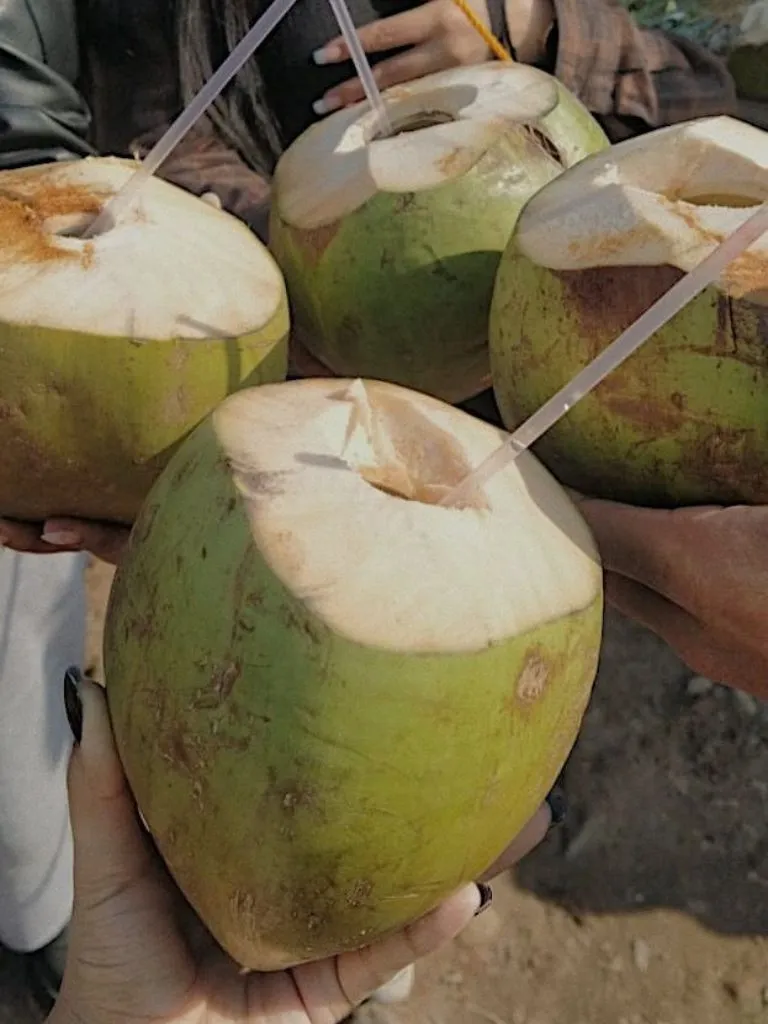 रोज पिएं एक नारियल पानी , दिल-किडनी समेत शरीर को मिलेंगे जबरदस्त फायदे! रोज पिएं एक नारियल पानी , दिल-किडनी समेत शरीर को मिलेंगे जबरदस्त फायदे!