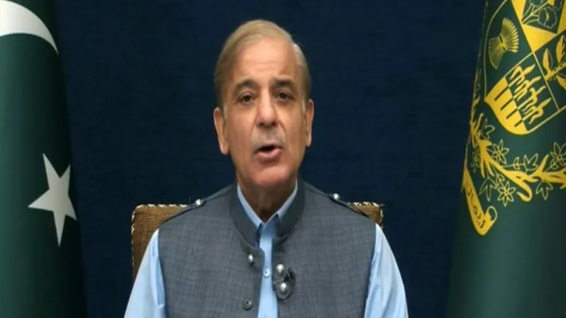 'पाकिस्तान में हमलों के पीछे भारत का हाथ...', फिर बिलबिलाए शहबाज शरीफ, हथियार देने का लगाया आरोप लगाया