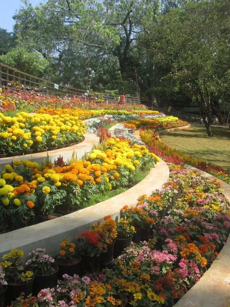 भारत का ये बॉटनिकल गार्डन है प्रकृति प्रेमियों का स्वर्ग, एक बार जाएंगे तो लौटने का नहीं करेगा मन भारत का ये बॉटनिकल गार्डन है प्रकृति प्रेमियों का स्वर्ग, एक बार जाएंगे तो लौटने का नहीं करेगा मन