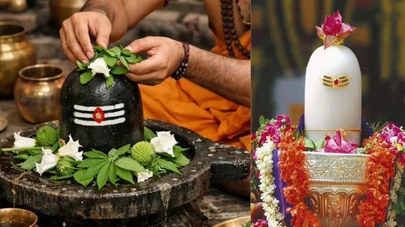 sawan-2026-why-lord-shiva-gets-bhang-dhatura