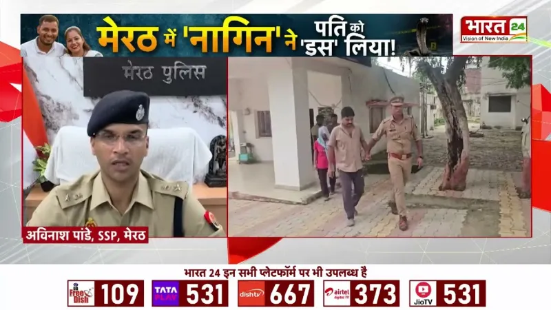 UP News: मेरठ में 'नागिन' पत्नी का खेल! प्रेमी संग सांप से डसवाकर पति का कत्ल!