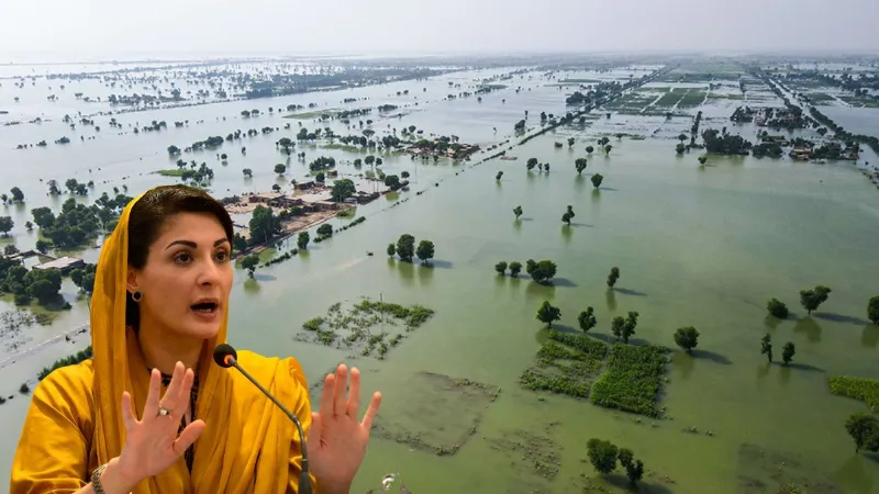 भारत ने छोड़ा चिनाब नदी का पानी, पाकिस्तानी पंजाब में मची अफरा-तफरी! बाढ़ को लेकर अलर्ट पर मरियम सरकार