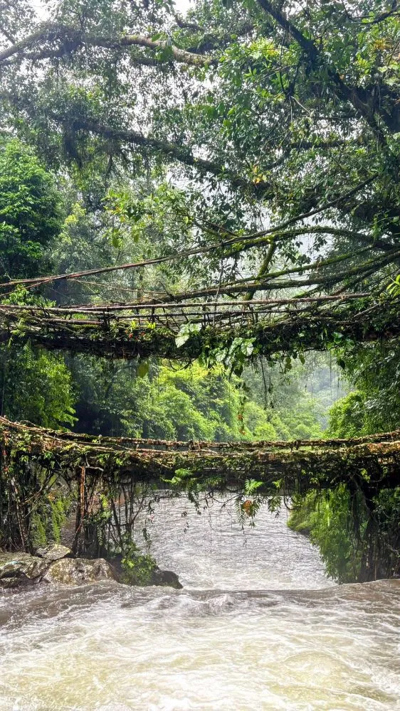 बारिश में बन जाता है जन्नत! मेघालय की इन खूबसूरत जगहों पर एक बार जरूर करें मानसून ट्रिप