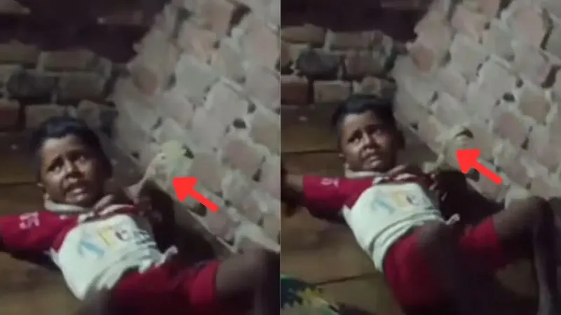 गहरी नींद में सो रहा था मासूम, गले में कुंडली मारकर बैठ गया सांप; एक घंटे तक लिपटा रहा, फिर जो हुआ...