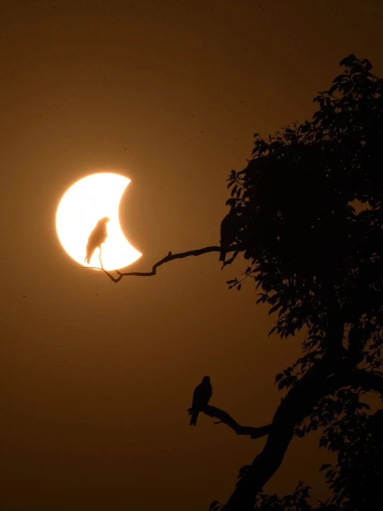 Solar Eclipse: 6 मिनट 23 सेकंड तक छा जाएगा अंधेरा! 2027 में दिखेगा सदी का सबसे लंबा सूर्य ग्रहण