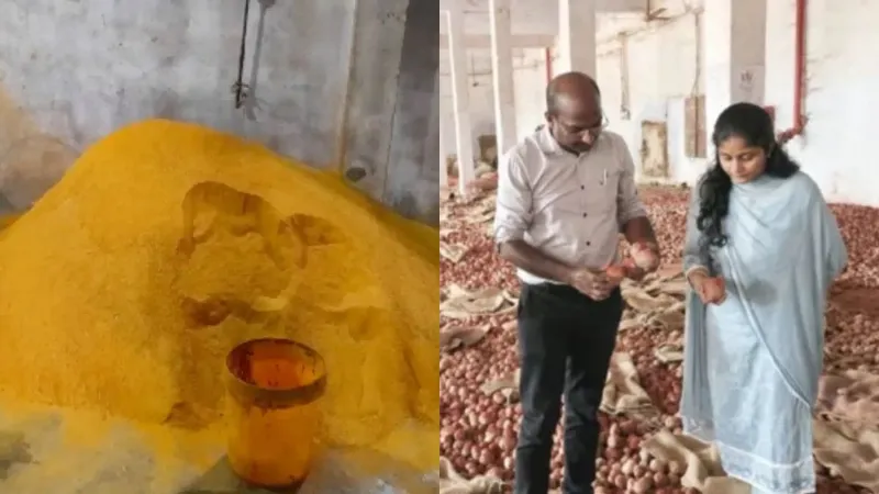 रसोई में पहुंच रहा था जहर! चावल और केमिकल से तैयार हो रही थी नकली हल्दी, खाद्य विभाग के छापे में खुला राज
