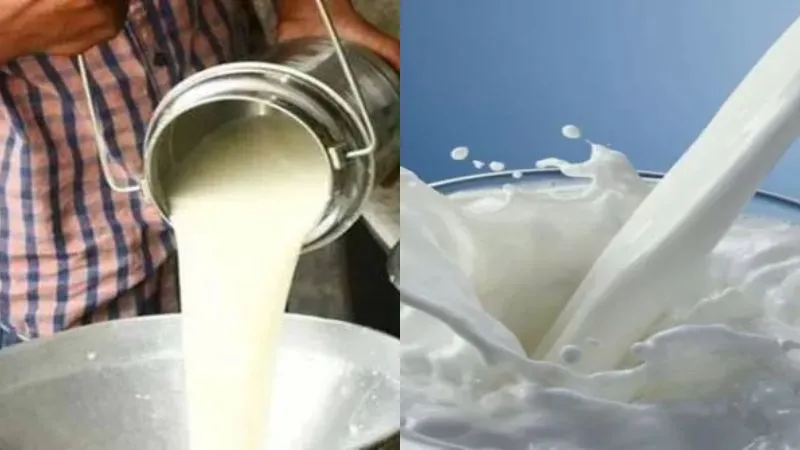 Maharashtra Milk Price Hike: महाराष्ट्र में 11 अगस्त से महंगा होगा दूध, दही-पनीर के भी बढ़ेंगे दाम, जानें वजह