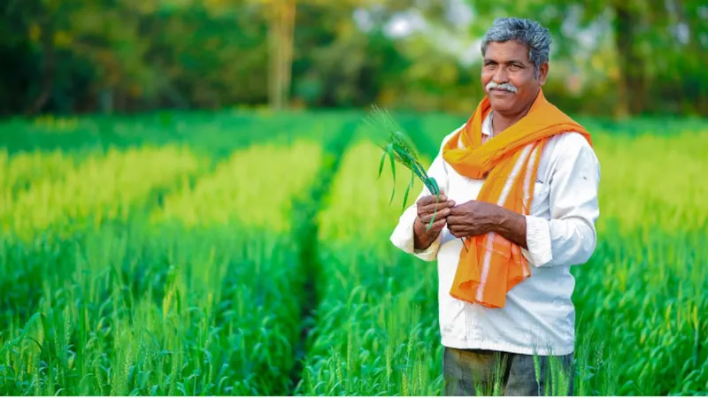 जमीन आपके नाम है फिर भी नहीं मिलेगा PM Kisan Yojana का लाभ, जानिए किनका कट सकता है नाम