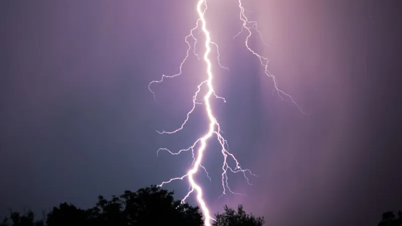 Bihar Lightning Strike: बिहार में आसमानी आफत का कहर, बिजली गिरने से चार जिलों में 12 लोगों की मौत