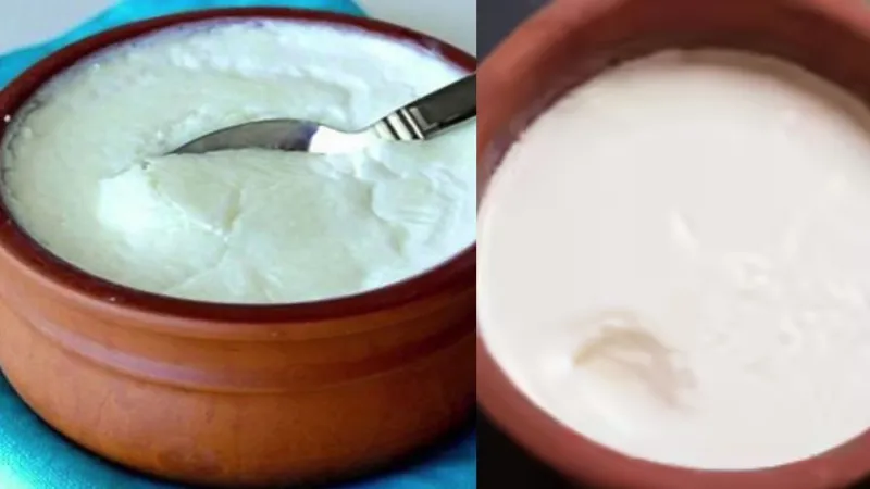 How To Make Thick Curd: बाजार वाली थक्केदार दही घर पर जमाएं! जामन में मिलाएं ये चीज, बनेगी गाढ़ी और मलाईदार