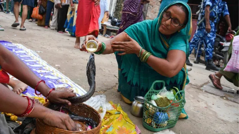 Dharm chant these mantras on Nag Panchami relief from Kaal Sarp Dosh complete worship ritual