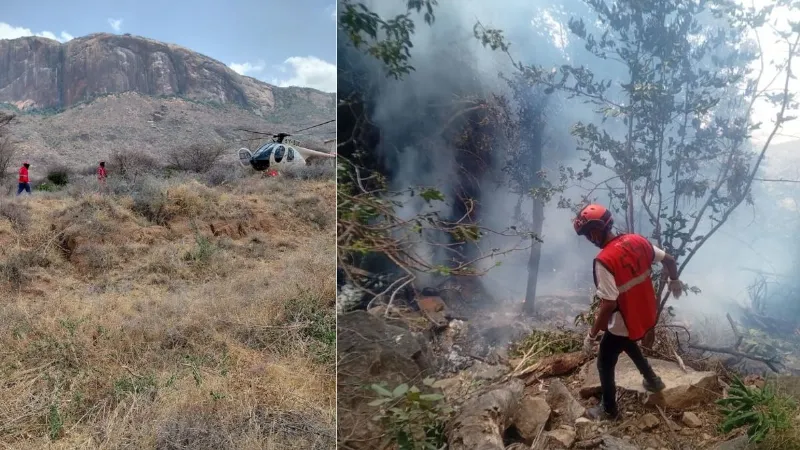 केन्या में फिर बड़ा हेलिकॉप्टर हादसा, इक्वाडोर के खुफिया प्रमुख समेत 7 की मौत; 5 अमेरिकी भी शामिल