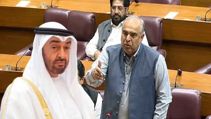 'UAE ने हमें होटलों से भगाया, भारतीयों को दी छूट', पाकिस्तानी सांसद बोले- हमारे साथ भेदभाव हुआ, Video