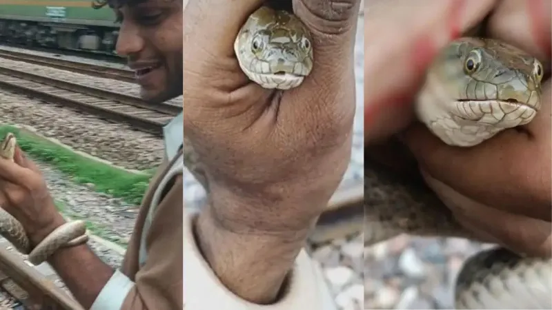 auraiya-youth-snake-stunt-three-times-bitten-social-media