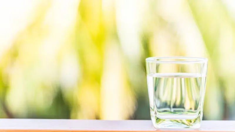 Skin Care Tips: सुबह-सुबह उठते ही पीजिए तुलसी का पानी, खिल उठेगी त्वचा