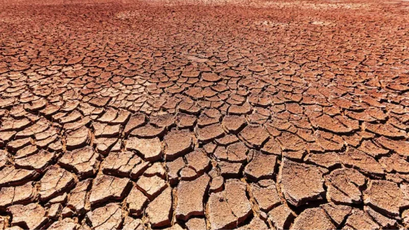 दुनिया पर मंडरा रहा अल नीनो का संकट, कई देशों में बढ़ेगा गर्मी का कहर, 4.5 लाख लोगों की जा सकती है जान