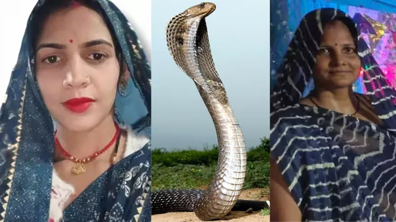 Jalaun snake bite kills two sisters in law villagers panic