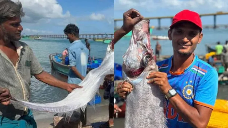 Doomsday fish oarfish caught by fisherman in Tamil Nadu India