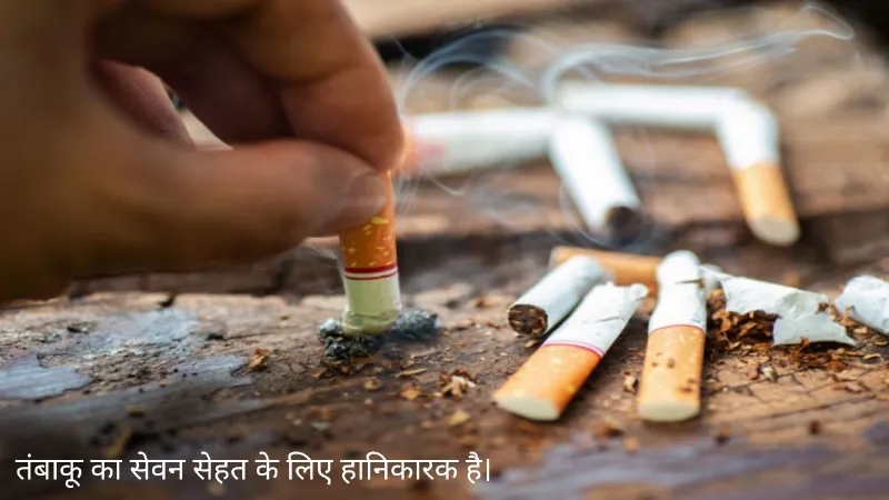 सिगरेट या तंबाकू... कौन पहले लेगा जान? सच जान हो जाएंगे हैरान, स्टडी में बड़ा खुलासा