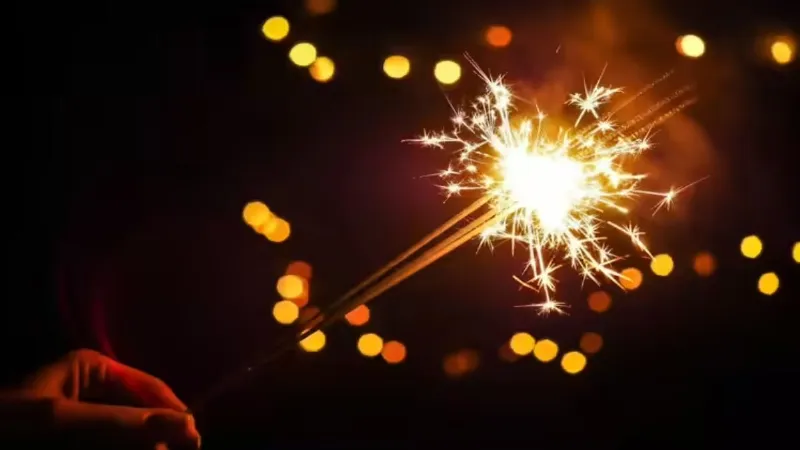 Diwali 2025: क्या होते हैं ग्रीन पटाखे, कैसे ये आम पटाखों से हैं अलग, हवा में नहीं घुलने देंगे जहर?