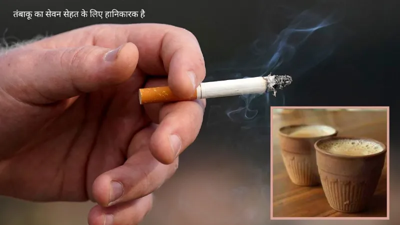 क्या आप भी चाय की चुस्की के साथ मारते हैं सिगरेट के कश, ये कॉम्बिनेशन कैसे बिगाड़ता है सेहत, जानें सबकुछ