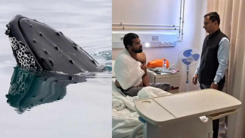 मोजाम्बिक में भीषण नाव हादसे में 3 भारतीयों की मौत, 5 लापता; जानें भारतीय उच्चायोग ने क्या कहा