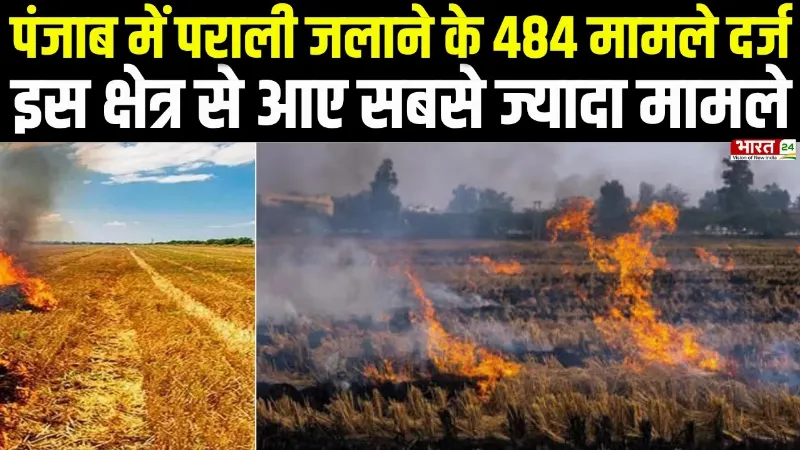 Punjab Stubble Burning: पंजाब में पराली जलाने के 484 मामले दर्ज, किसानों पर एक्शन!