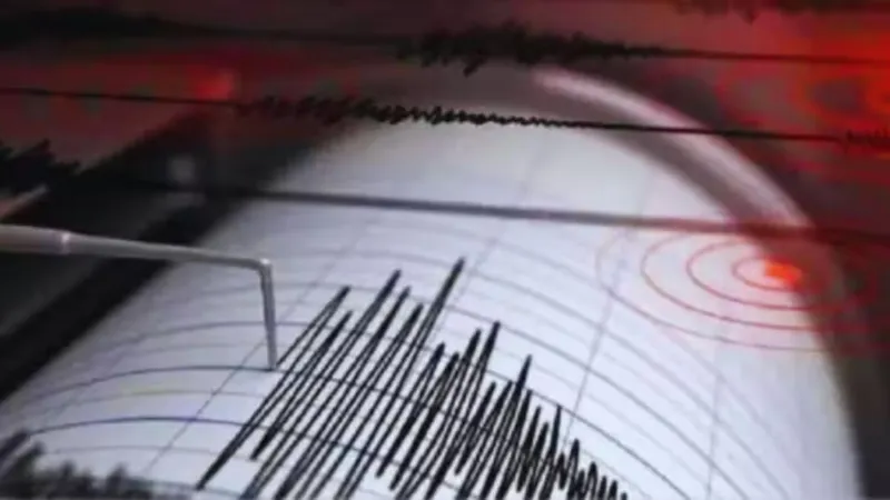 अफगानिस्तान में देर रात भूकंप से कांपी धरती, 5.5 रही तीव्रता, जापान और वानुआतू में भी दर्ज हुए तेज कंपन