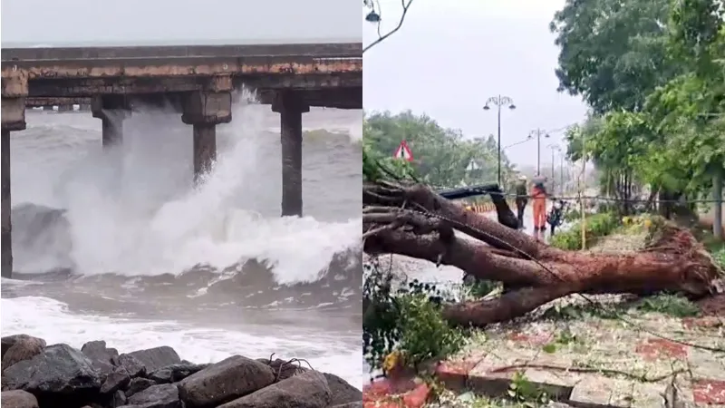 Cyclone Arnab: तटीय इलाकों में अर्नब चक्रवात का कहर! तेज हवाएं, मूसलाधार बारिश और ऊंची लहरों से मची अफरा-तफरी
