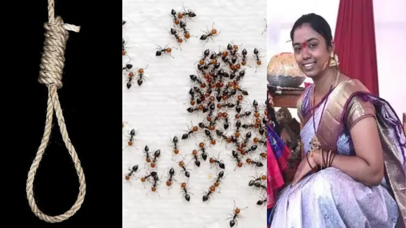 चींटियों के डर से महिला ने कर लिया सुसाइड, तेलंगाना की ये अजीबोगरीब घटना जानकर हिल जाएगा दिमाग