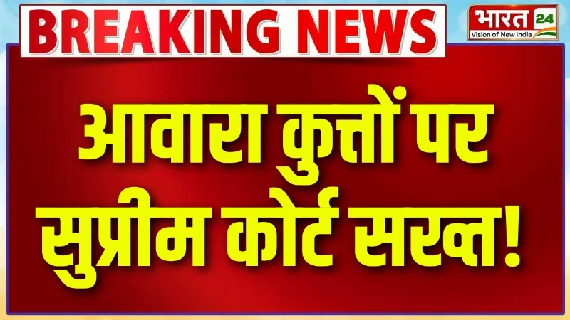 Supreme Court Big Decision: आवारा कुत्तों के मामले में सुप्रीम कोर्ट का बड़ा निर्देश, जानें नया नियम