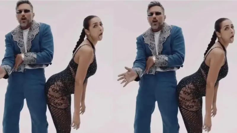 Malaika Arora and Yo Yo Honey Singh Got Trolled for Chillgum Song
