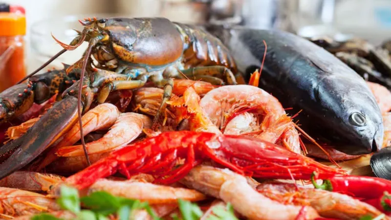 How India benefits from Chinas ban on Japanese seafood