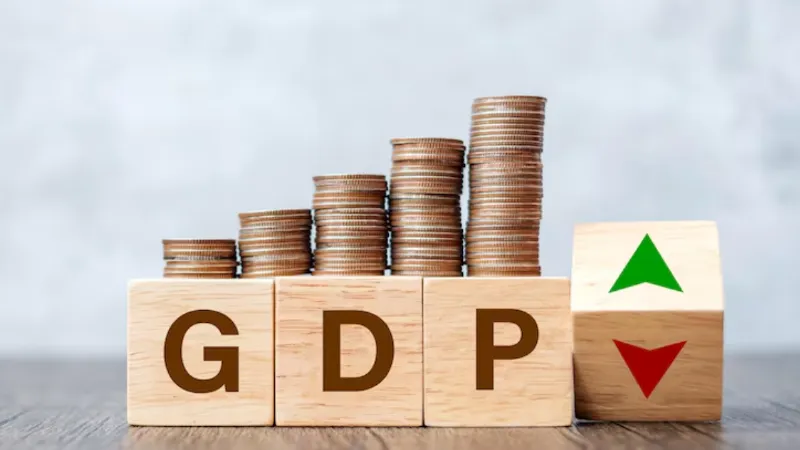 world was struggling with recession Indian economy did wonders report