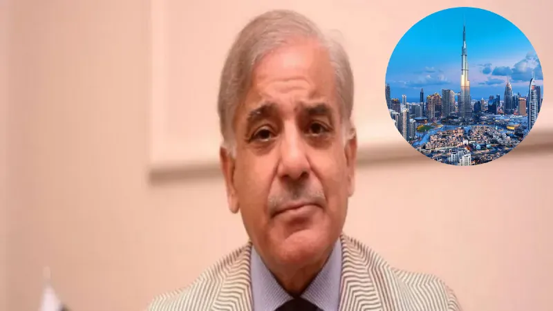 इन मुस्लिम देशों में पाकिस्तानियों की नो एंट्री, वीजा देने पर लगाई रोक; PAK सरकार की भारी बेइज्जती