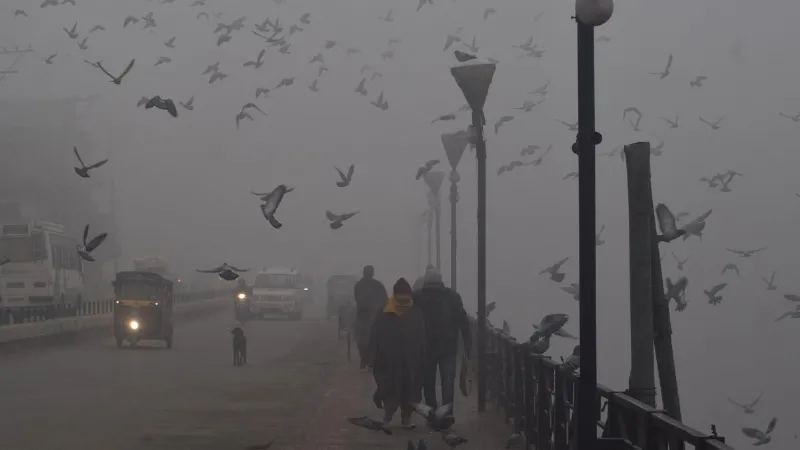 Weather update of entire India from Delhi to Bihar