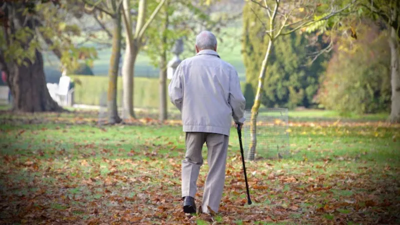 पार्क में टहलते वक्त बुजुर्ग के मुंह में चला गया उड़ता हुआ पत्ता, फिर हुआ कुछ ऐसा, भरना पड़ गया 26,000 जुर्माना