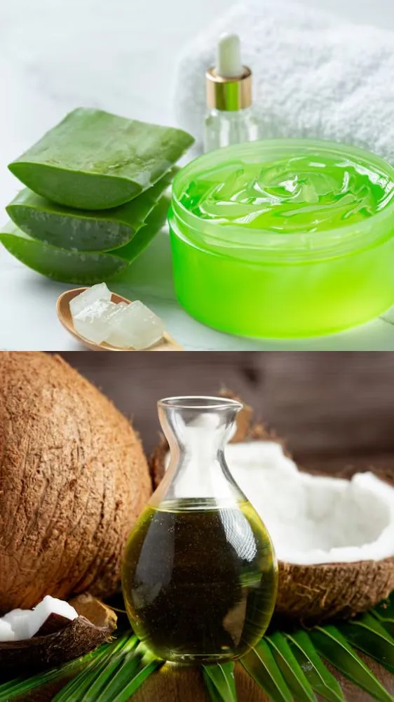 सर्दियों में ड्राई स्किन से हैं परेशान? छुटकारा पाने के लिए आजमाएं ये घरेलू नुस्खे