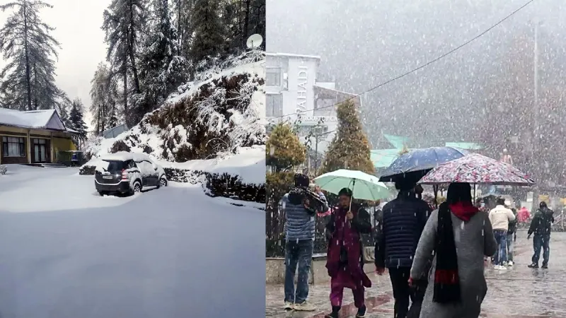 न्यू ईयर पर हिमाचल जाने का बना रहे प्लान, तो जान लिजिए कहां मिलेगी बर्फ? उमड़ी टूरिस्टों की भीड़