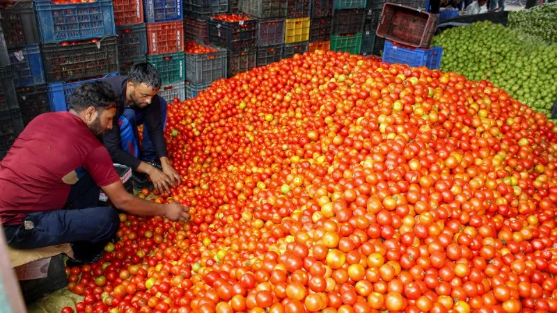 Bihar farmers high-tech cold chain will be built in Bihta and Musallahpur Haat mandis benefit