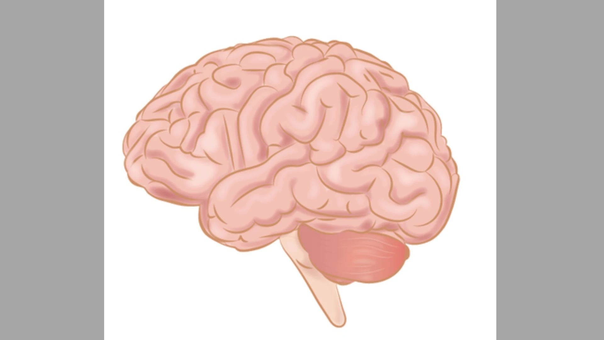 HSV-1 वायरस हो सकता है अल्जाइमर की वजह, टाऊ प्रोटीन से जुड़ा चौंकाने वाला खुलासा : Study