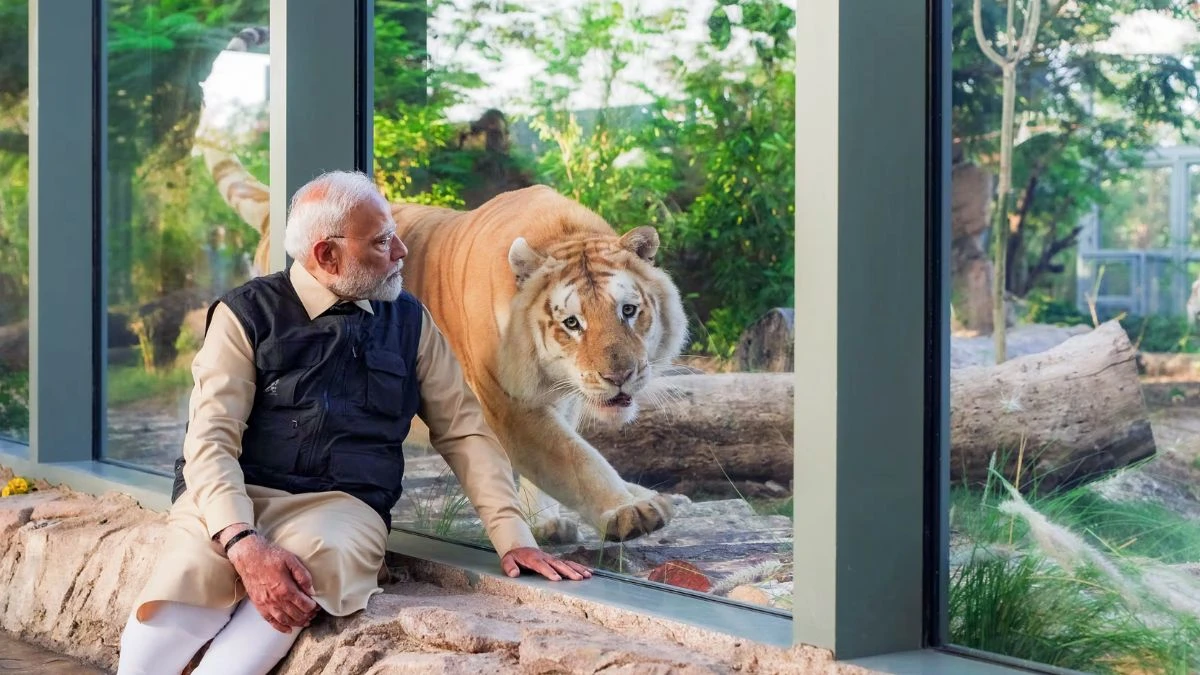 PM Modi was holding lion cubs in his lap in Vantara know from which countries the animals have come