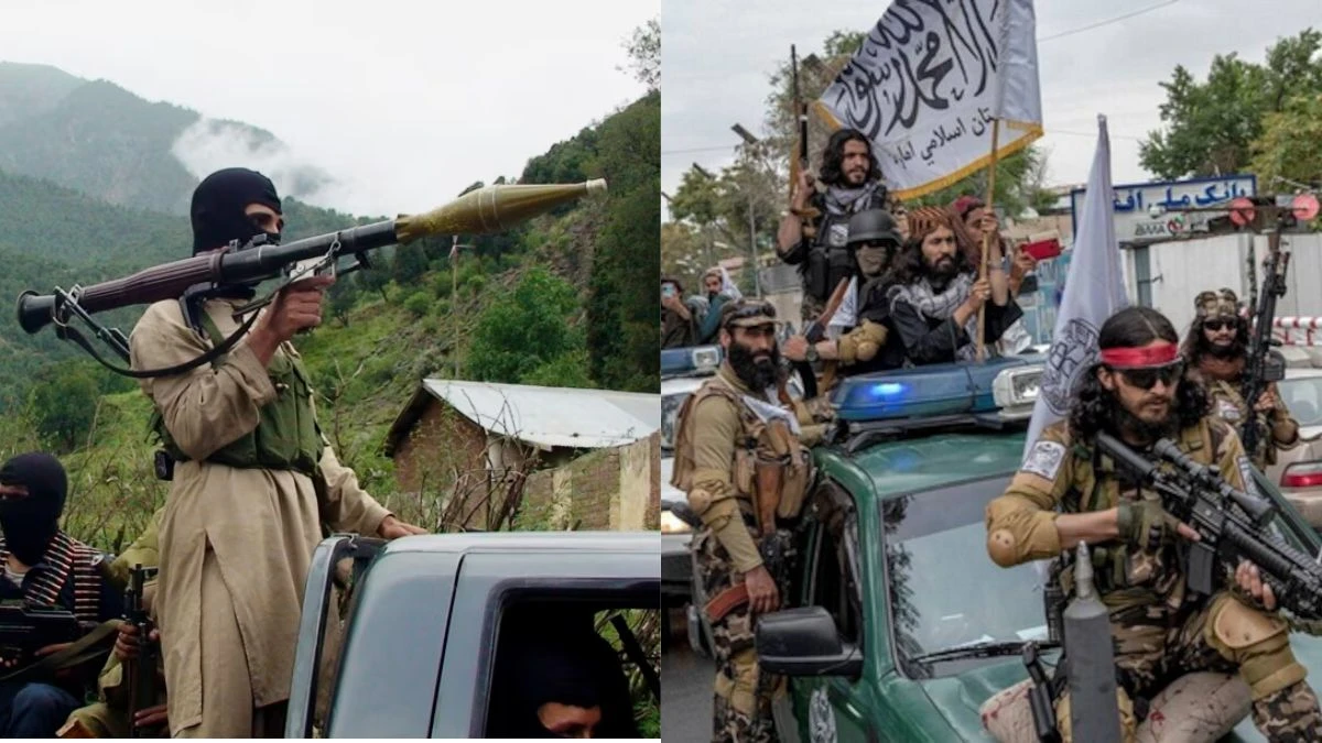 TTP attacked that weak nerve of Pakistan even China felt the pain