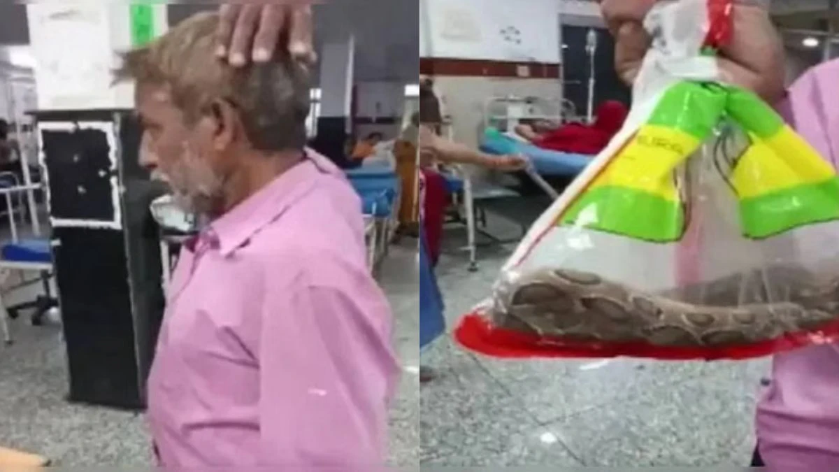 young man reached udaipur hospital with a snake