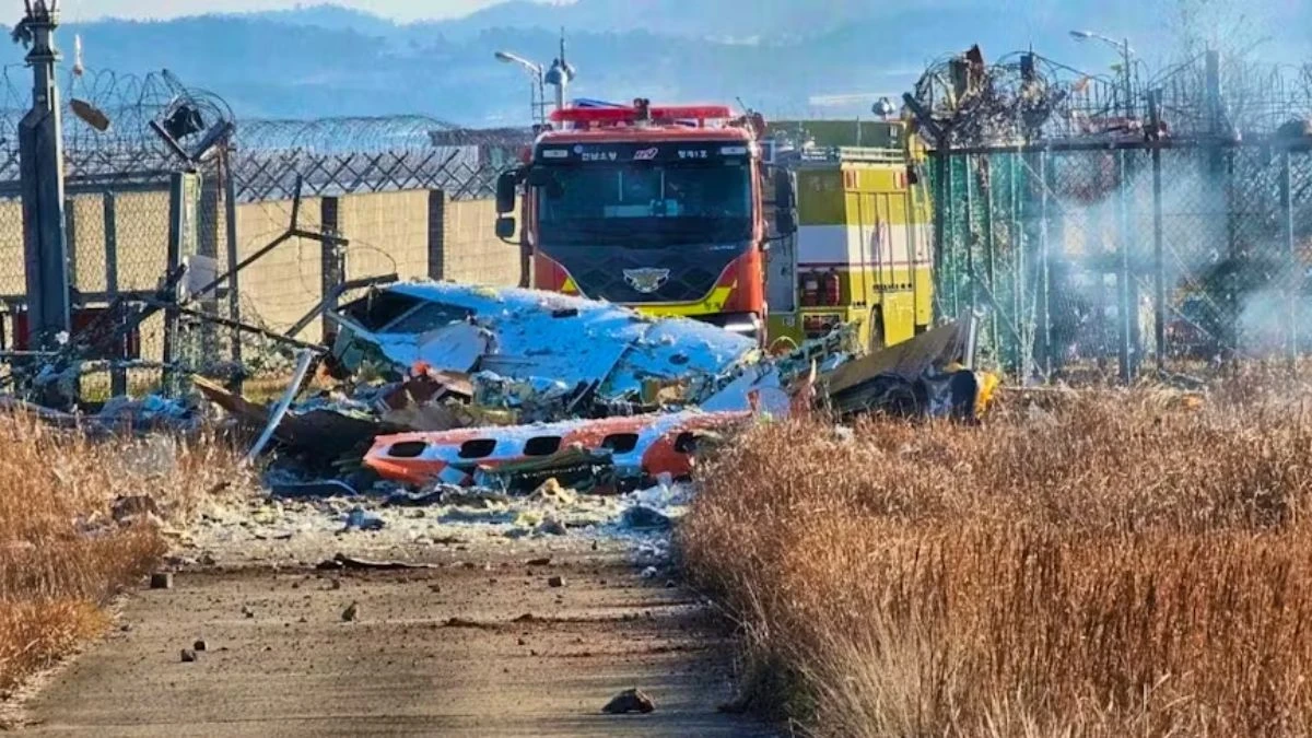 Passenger plane crashes in South Korea at least 28 people dead