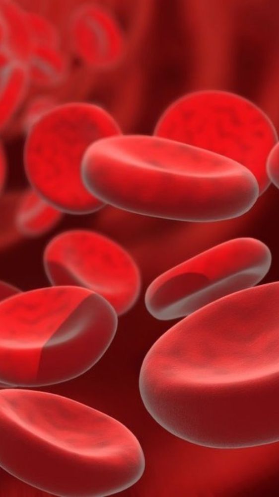 मूंग की दाल के सेवन के 4 गजब के फायदे