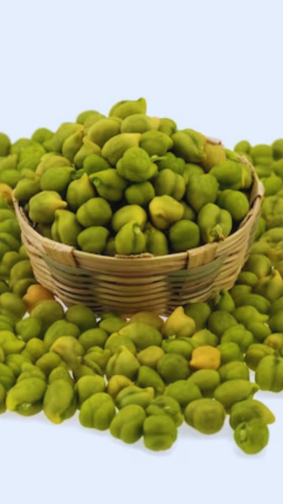विटामिन-मिनरल्स से भरपूर हरे चने ब्लड शुगर को रखेंगे कंट्रोल